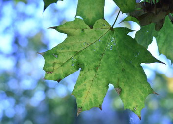 PRŮVODCE DOPROVÁZEJÍCÍHO 2: Pečujte i o sebe sama