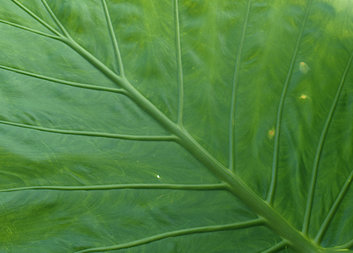 PRŮVODCE DOPROVÁZEJÍCÍHO 4: Komunikace s dětmi