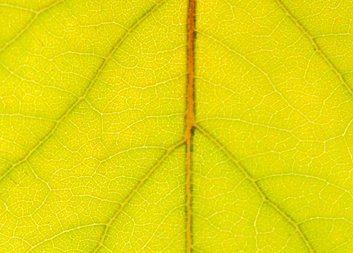 PRŮVODCE DOPROVÁZEJÍCÍHO 6: Úprava domácího prostředí