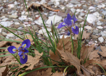 Děkuji Vám, našim klientům