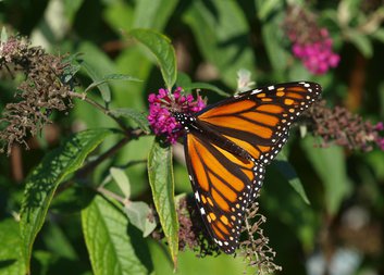 Hospic – škola života