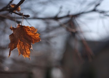 PRŮVODCE DOPROVÁZEJÍCÍHO 9: Když přijde smrt