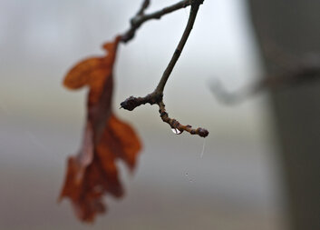 PRŮVODCE DOPROVÁZEJÍCÍHO 10: Období truchlení
